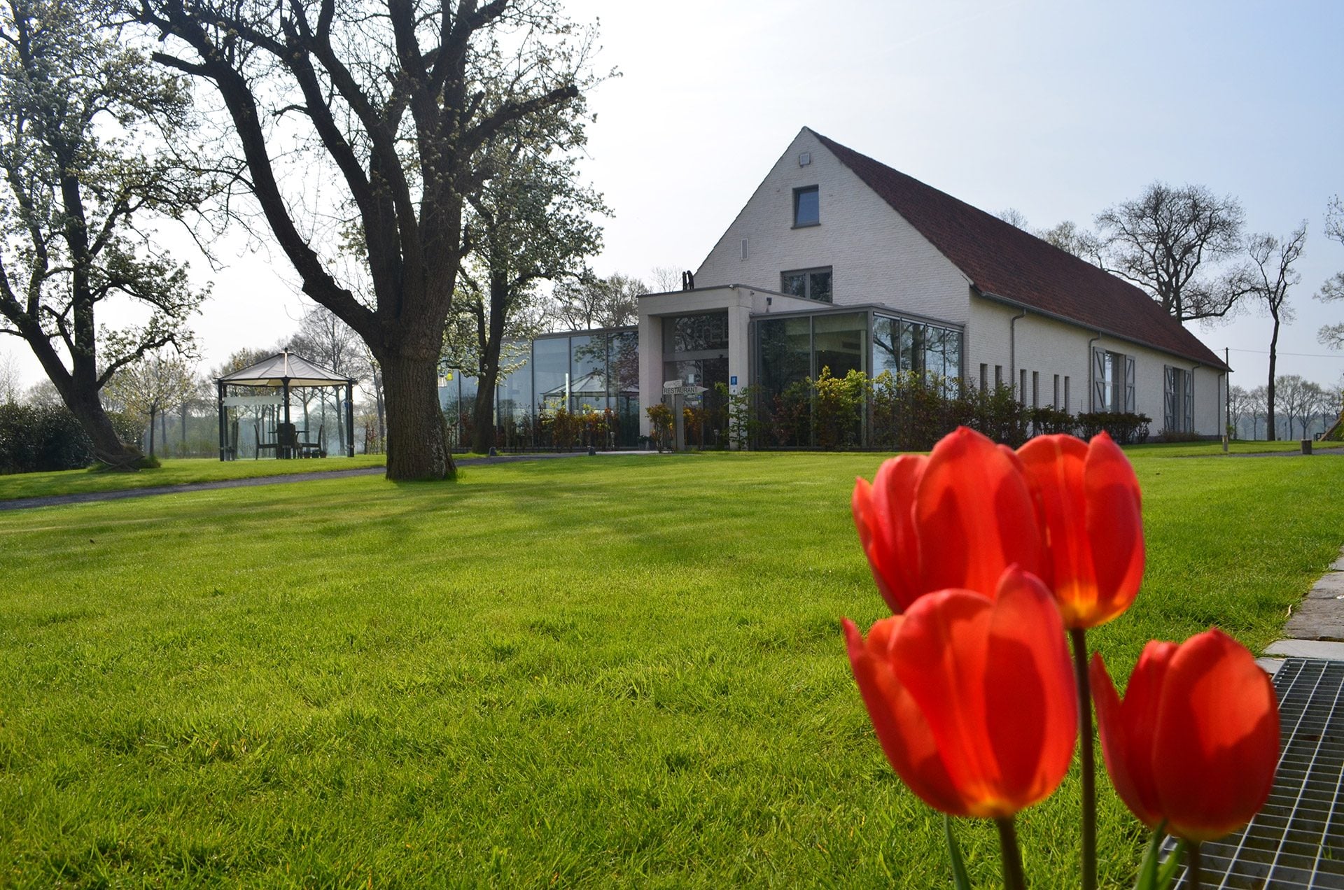 Hotel - Cleythil Hotel